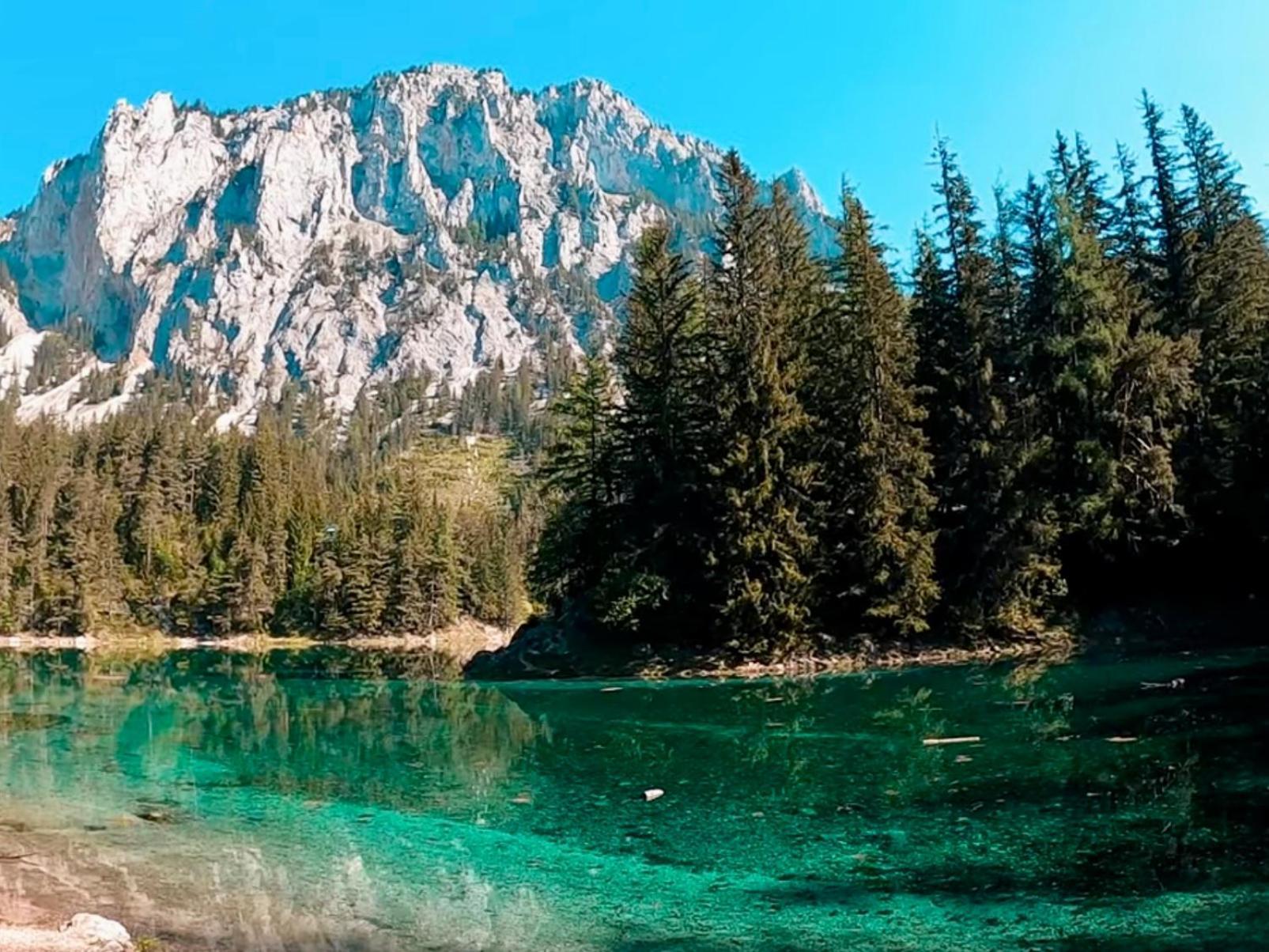 Gruener See Exklusiv Oberort エクステリア 写真
